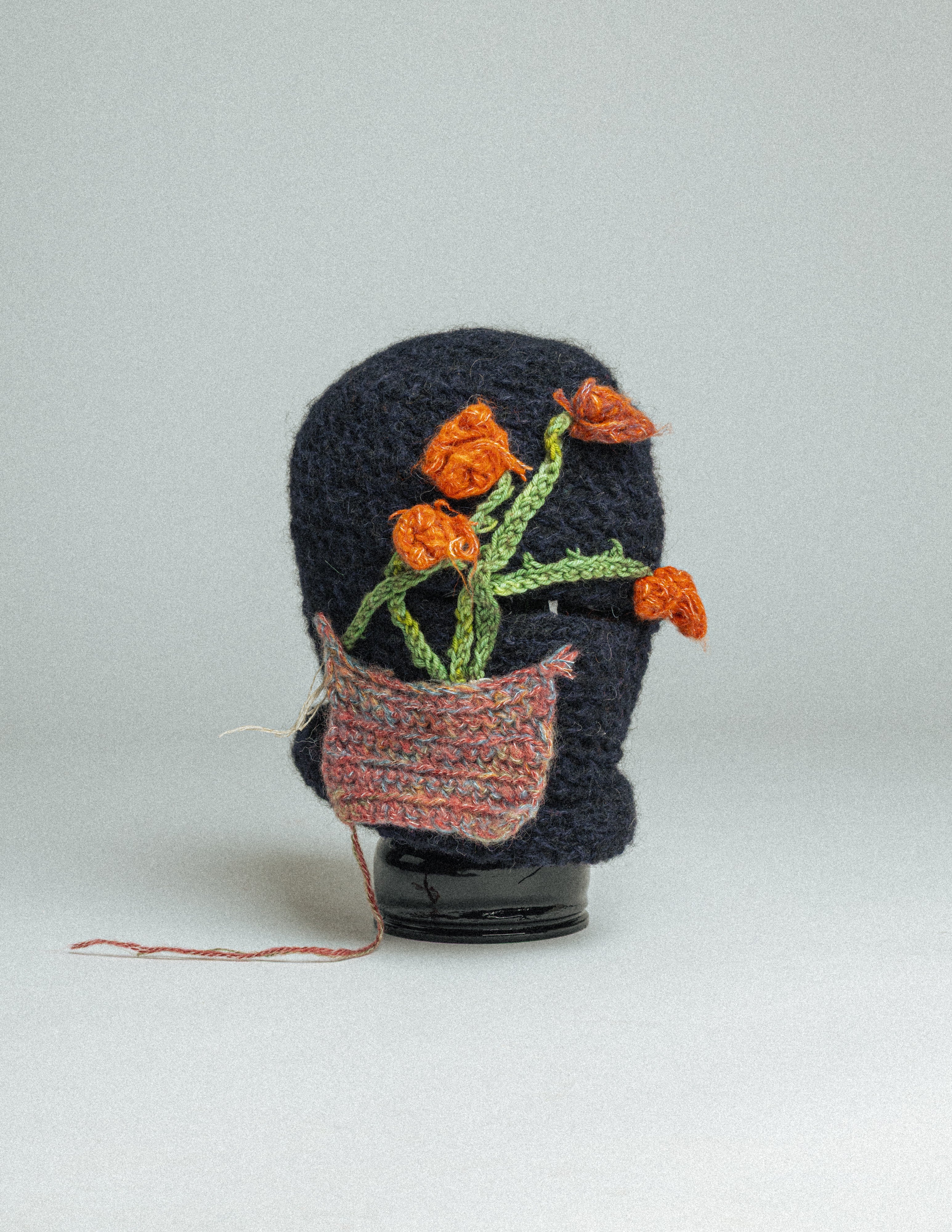 'Flowers in / and Space'